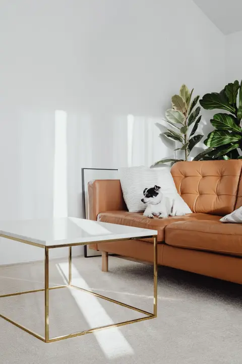 Een hond ligt op de bank in een lichte woonkamer